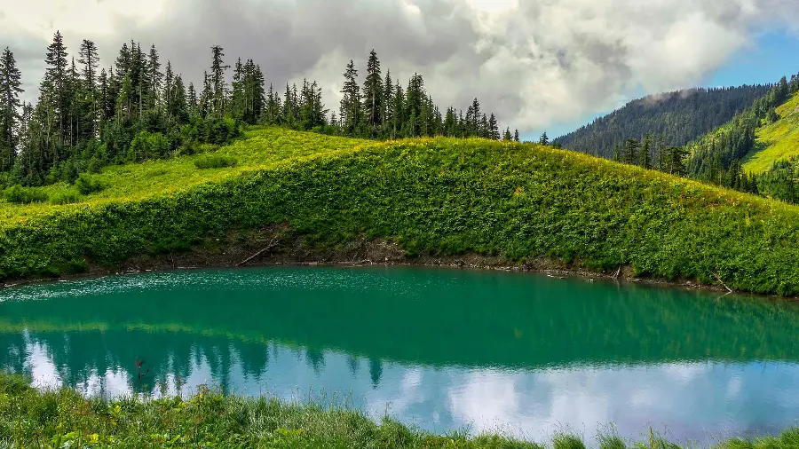 The most beautiful nature background for stylish people's desktops