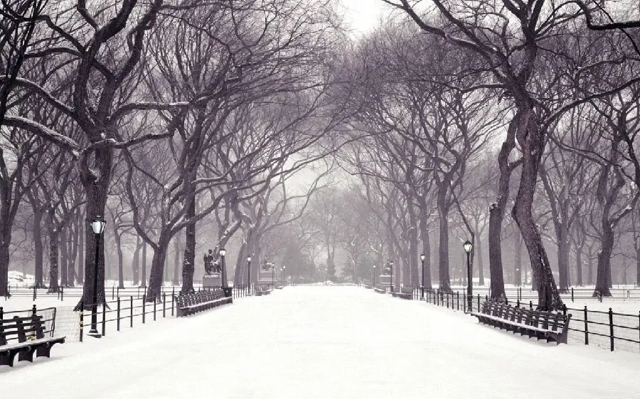Download wallpaper for computer winter full hd