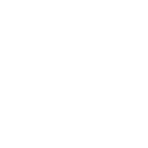White WhatsApp logo without background in PNG format