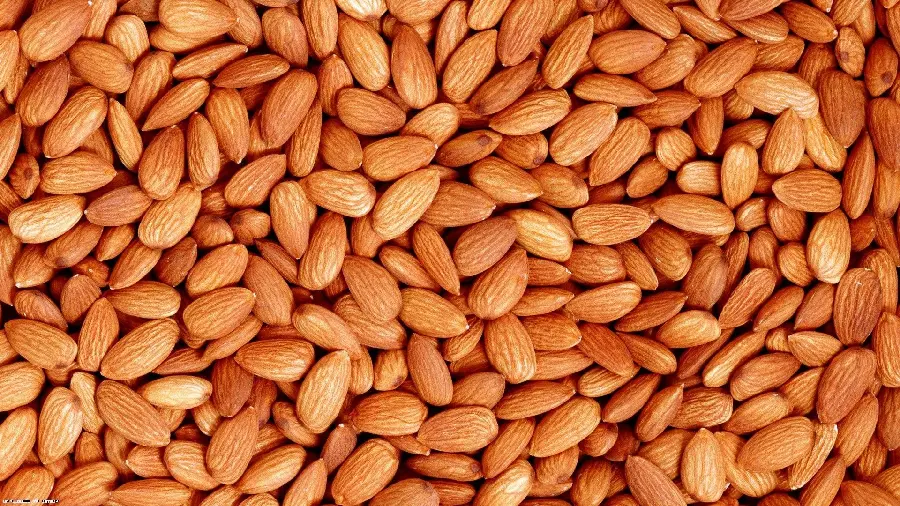 Free download of high quality bulk tree almond photos