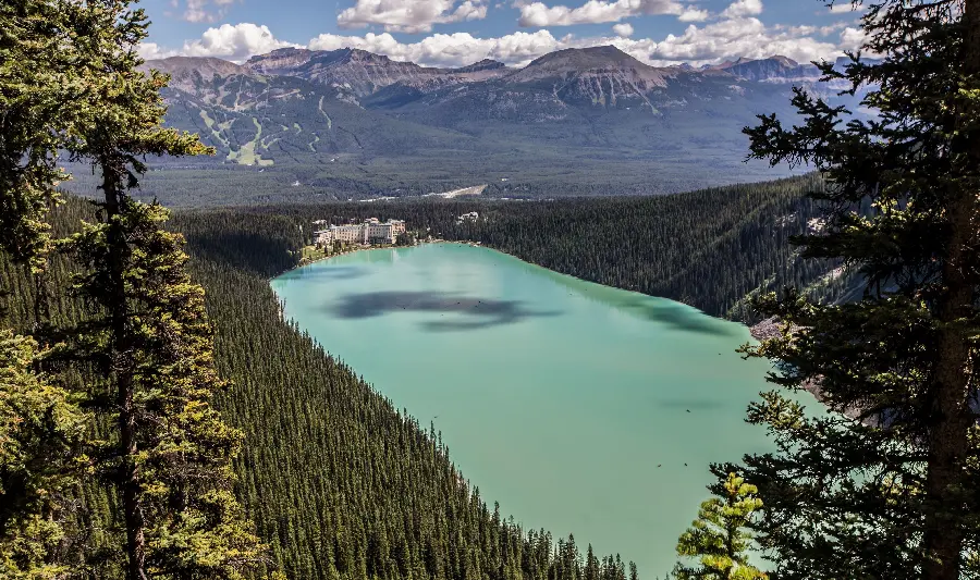 Aerial photo of Vancouver Lake, Canada