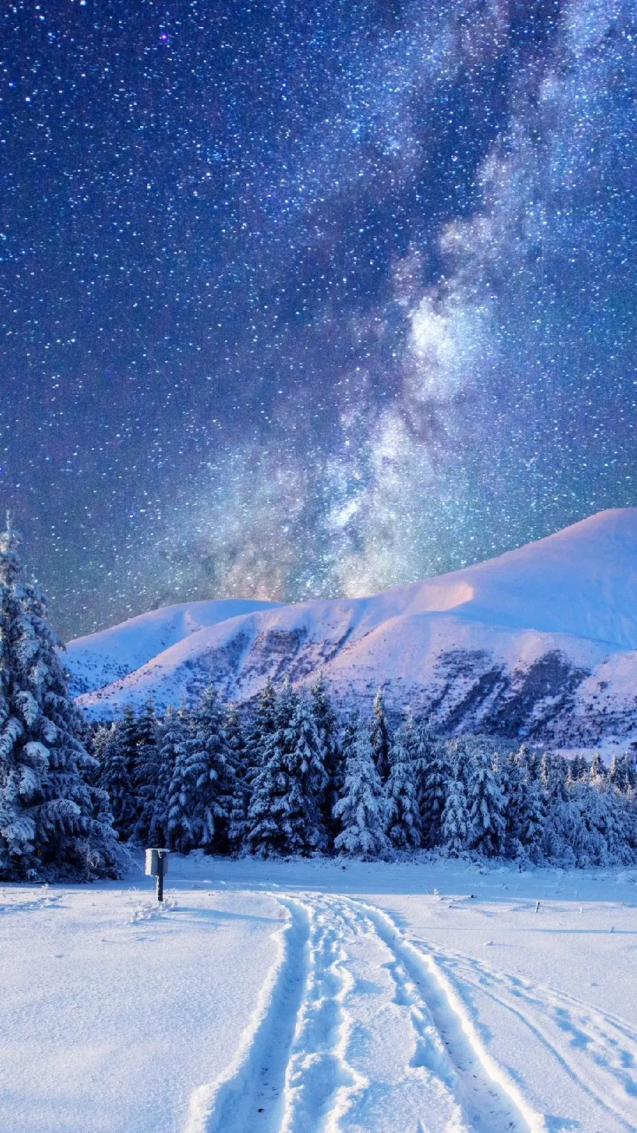 Photo of the starry sky in the winter season