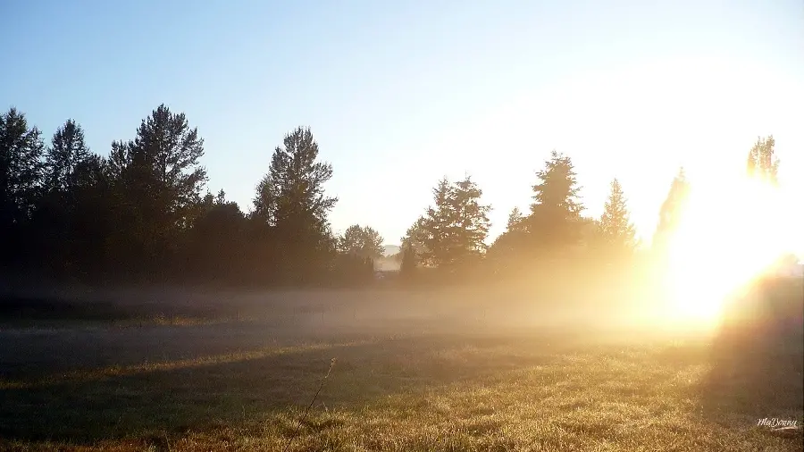 Stock photo of early morning and sunrise in beautiful spring