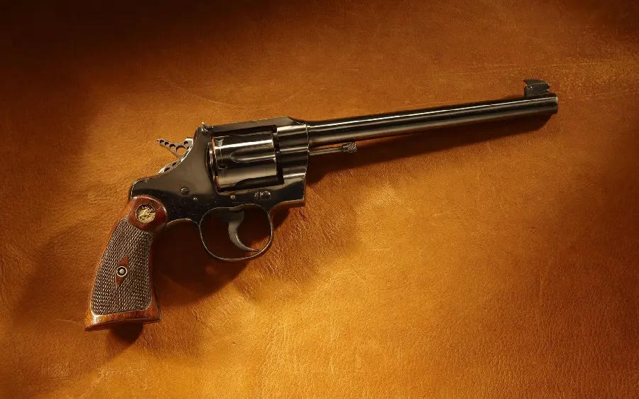 Very interesting photo of exquisite and valuable Colt revolver and gun with stylish design