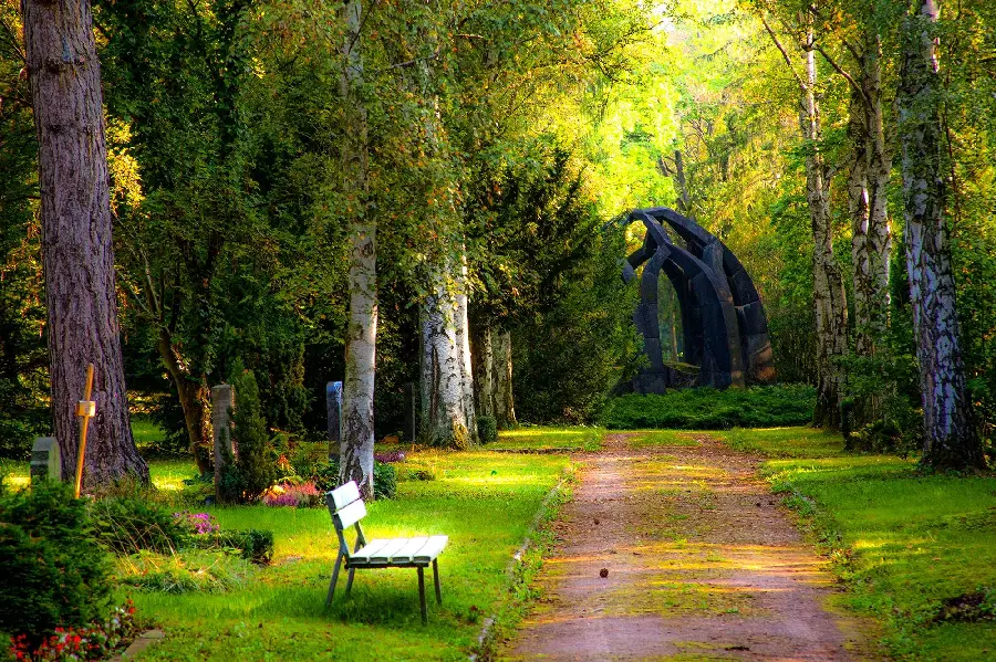 Eye-catching Full HD frame of an empty bench in a relaxing green nature