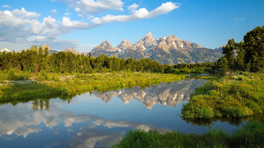 Enchanting image of the beautiful pond edge nature on a spring evening