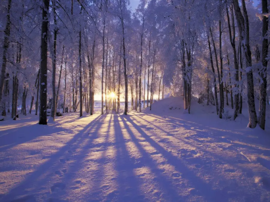Download wallpaper for winter computer