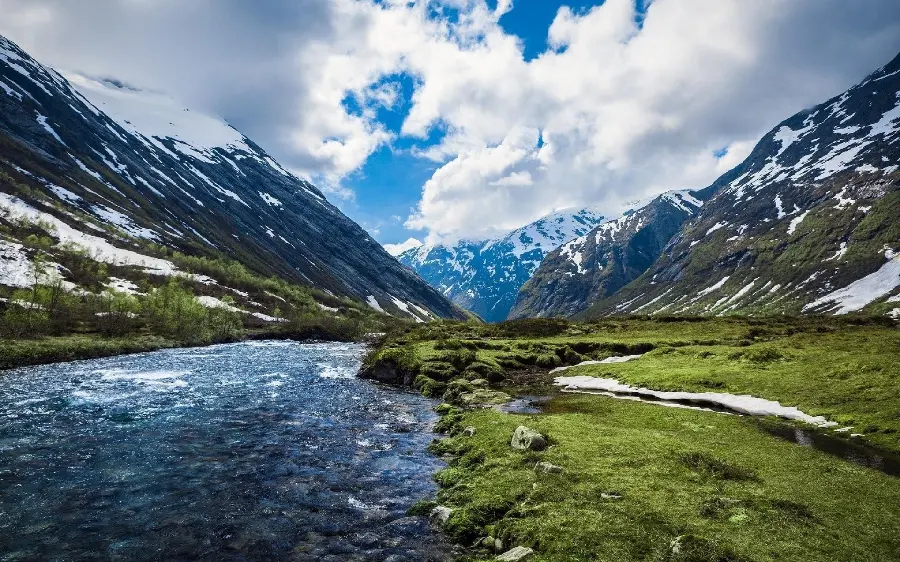 Best Scandinavian Dreamy Nature Profile Picture in 4K Quality