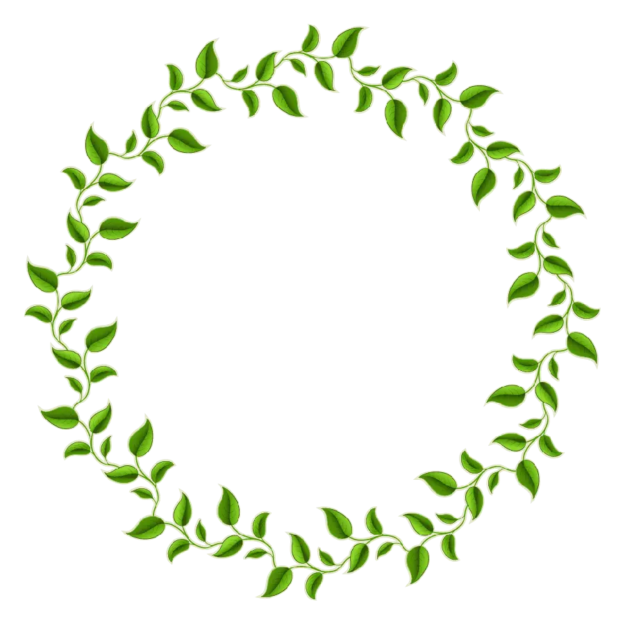 Painting of green leaves with circles without background Background for Photoshop