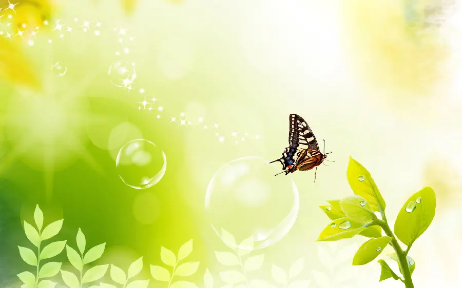 A graphic image of a butterfly in spring suitable for a telegram profile