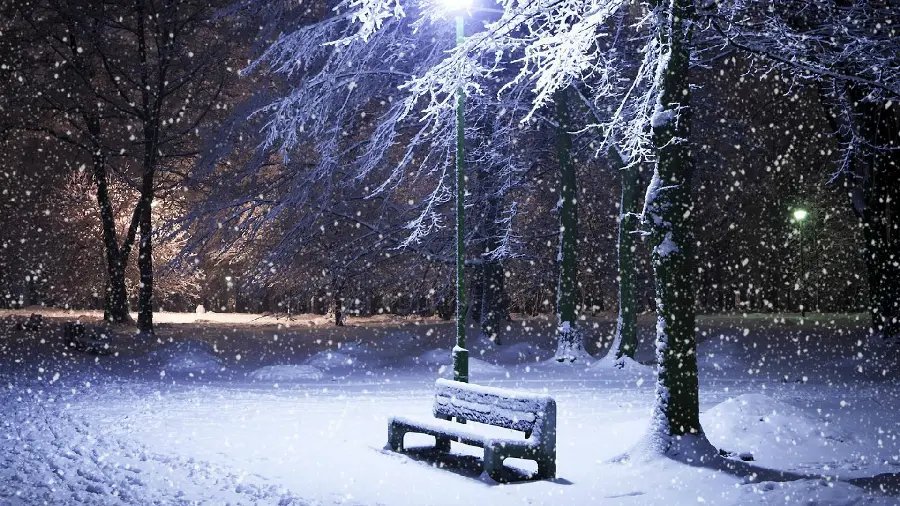 A lonely bench on a winter night for profile