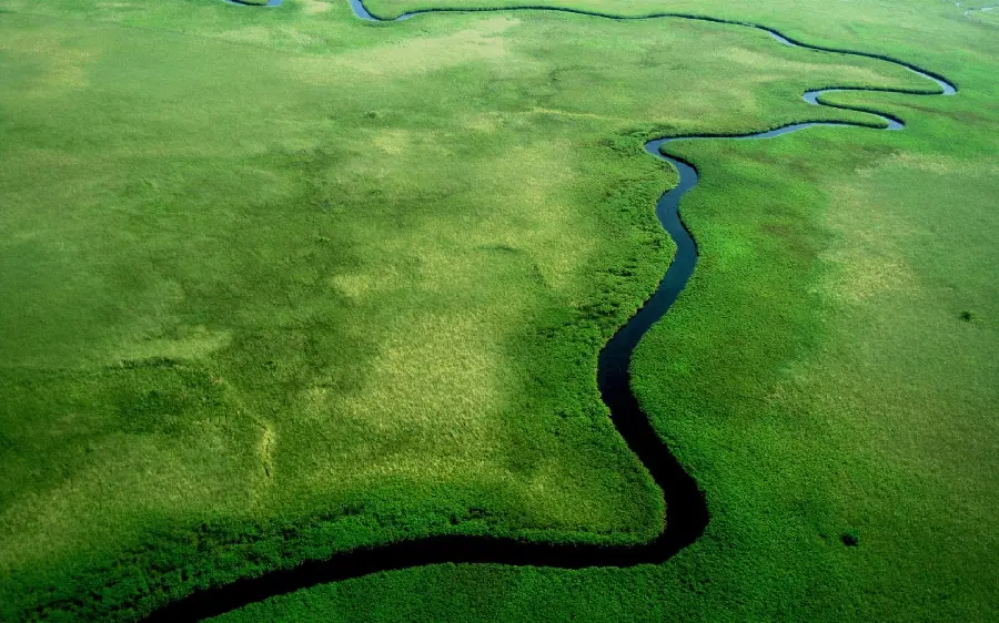 A very beautiful picture of the Amazon River in beautiful lush forests