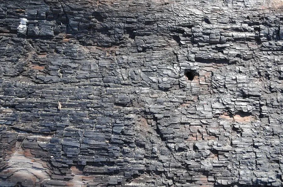 Download a stone texture in the form of a tree trunk bark for SketchUp software