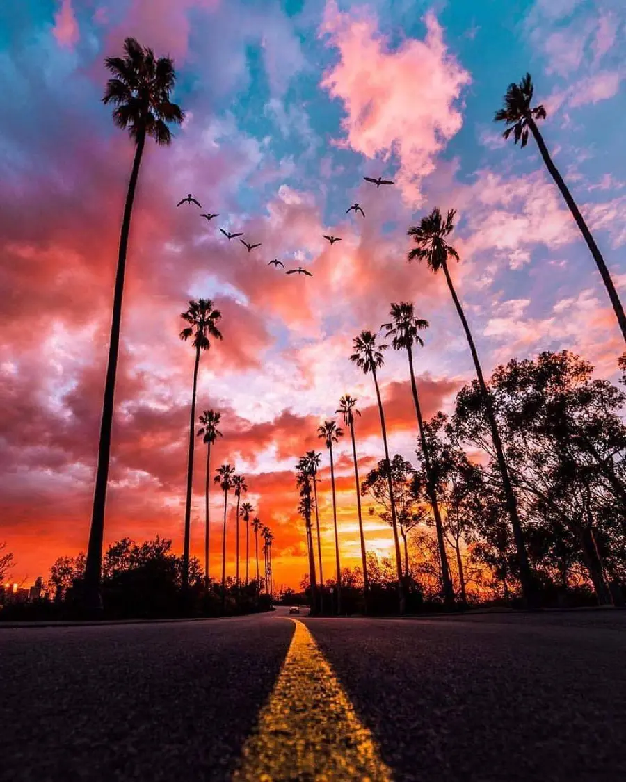 Attractive Road and Sunset Wallpaper