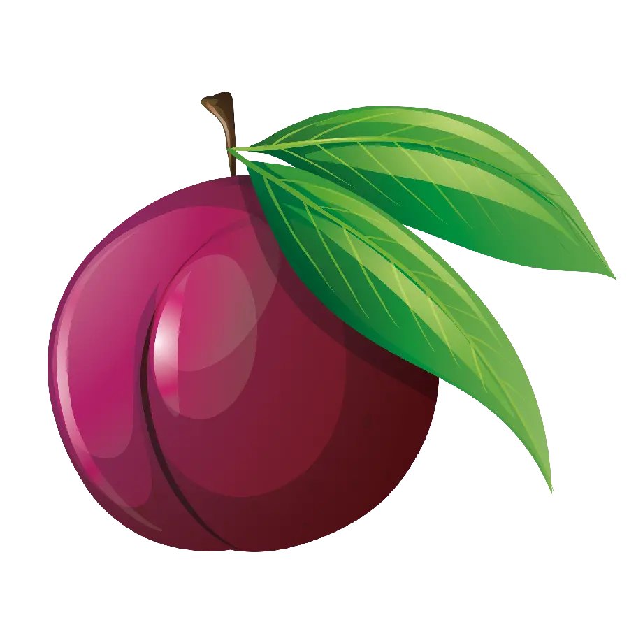 Beautiful Round Black Plum Painting in PNG Format