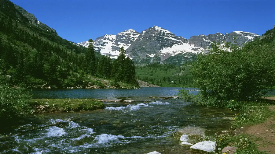 Pleasant nature in the forest with a view of the mountain and the forest and the river