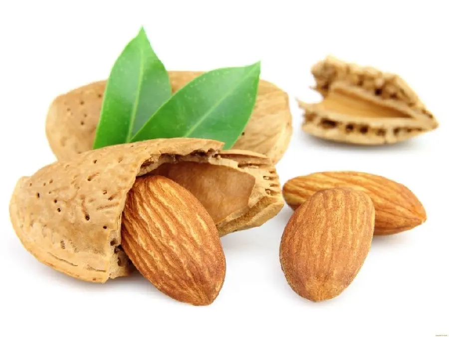 Download free image of almond with stone skin 