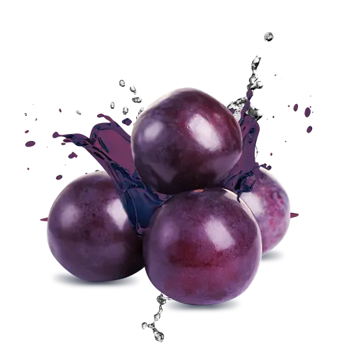 Ripe and Juicy Plum Fruit Photo For Virtual Sale