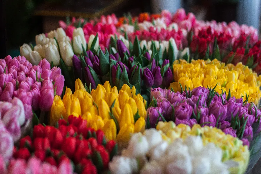 High quality photo of colorful and beautiful bouquets