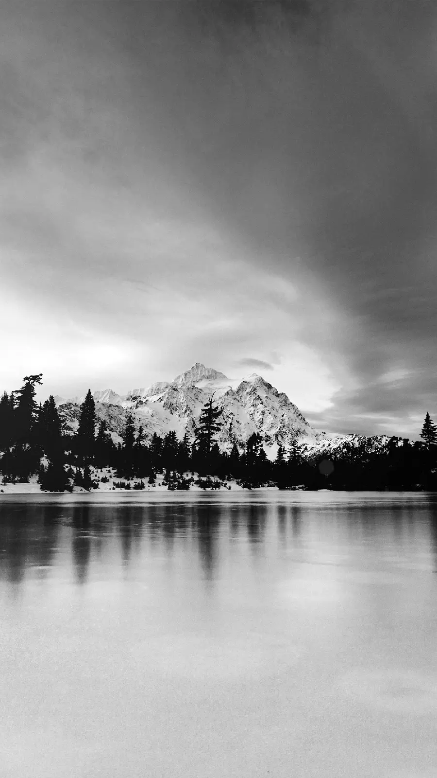 Latest black and white winter nature wallpaper 2023