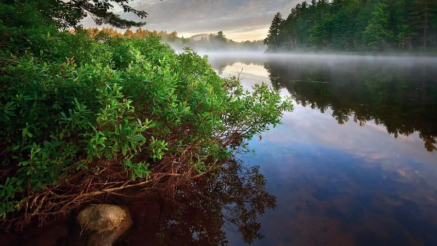 Foggy photo of the nature of the Czech Republic