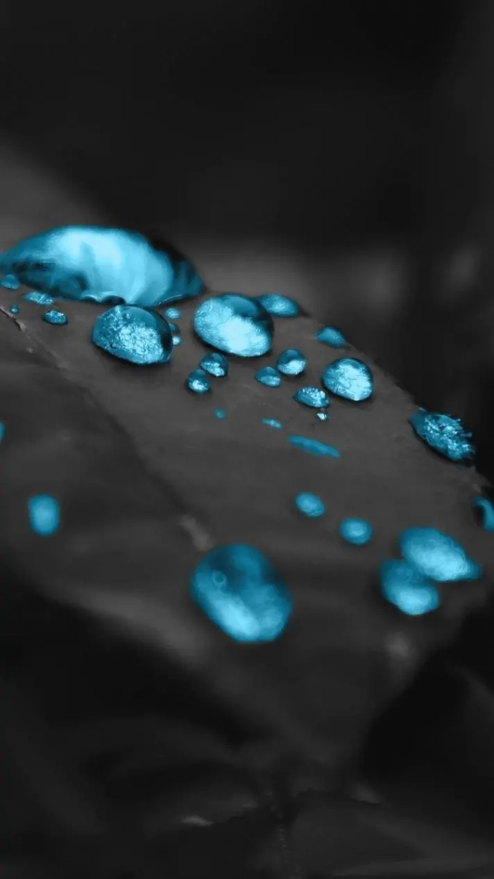 Enchanting Wallpaper of Glowing Blue Drops on a Black Background