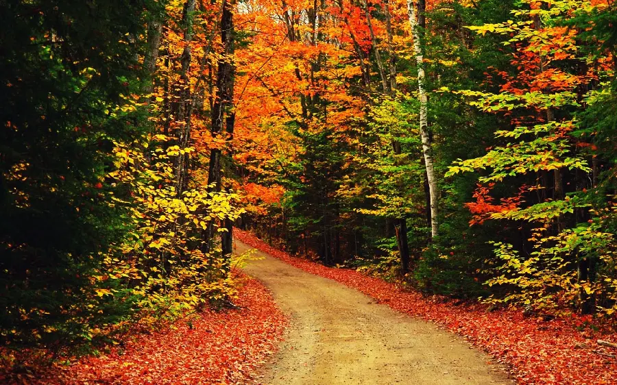 Download autumn wallpaper for computer