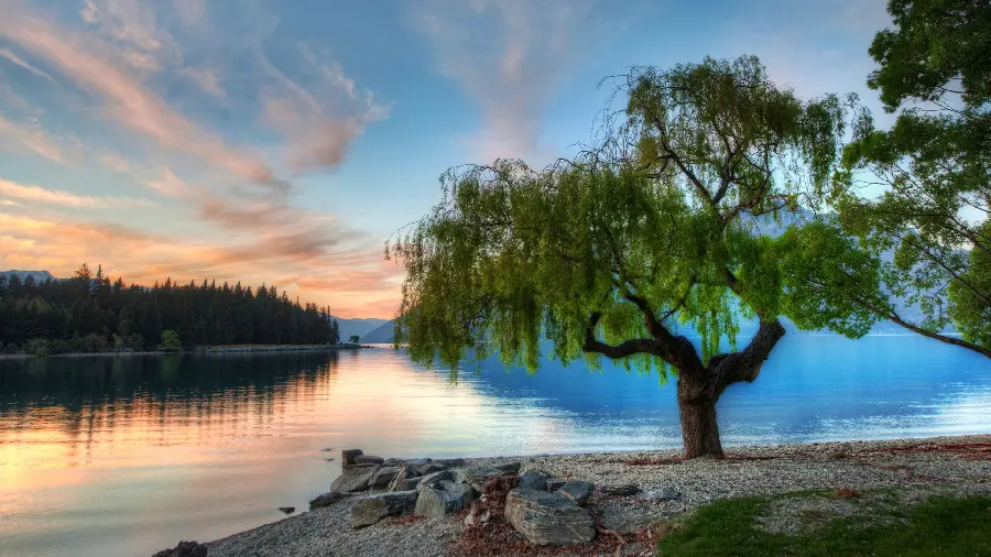 Free download of blurry nature photo of the lake edge for posts and stories 