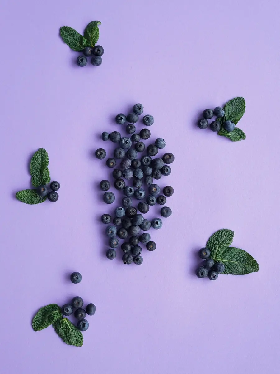 Blueberry fruit background suitable for the phone