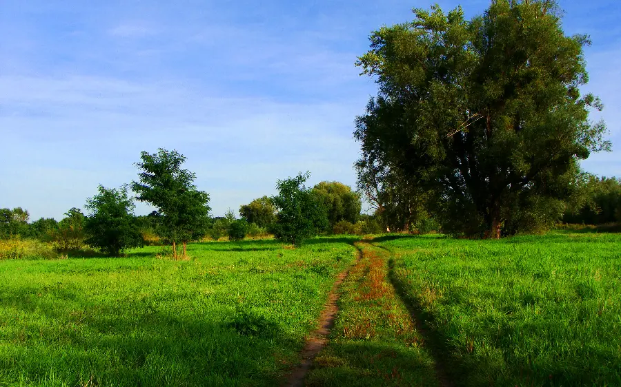 Beautiful and pristine spring nature photo with high HD quality