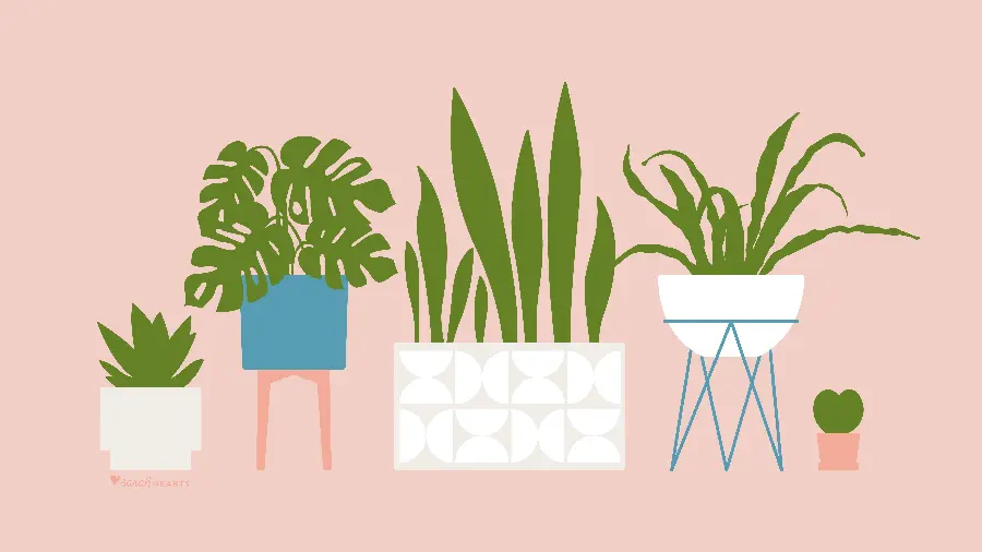 Fantasy Houseplant Photos