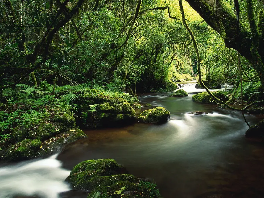 Full HD view of a cool river covered with the shade of trees