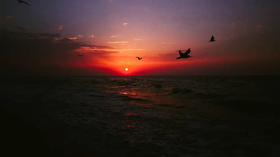 Landscape of the sunset at the sea As Wallpaper 