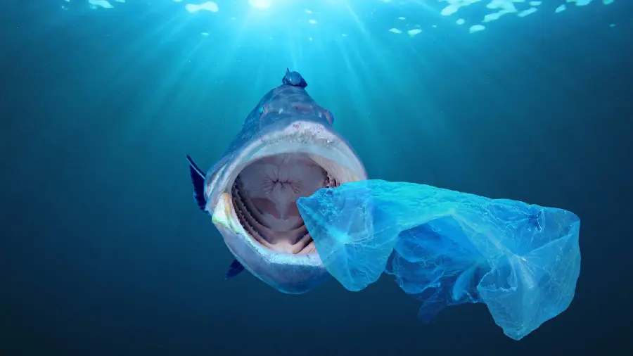4K photo of a shark swallowing plastic waste in polluted water
