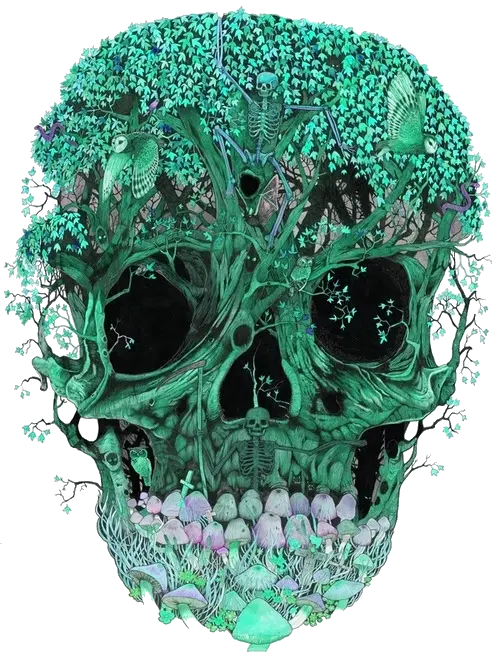 The Most Beautiful Skull Artwork with Beautiful Leaf and Tree Design