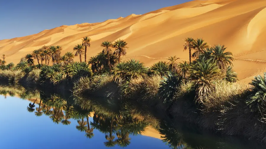 The most strange nature background full hd of desert and water together