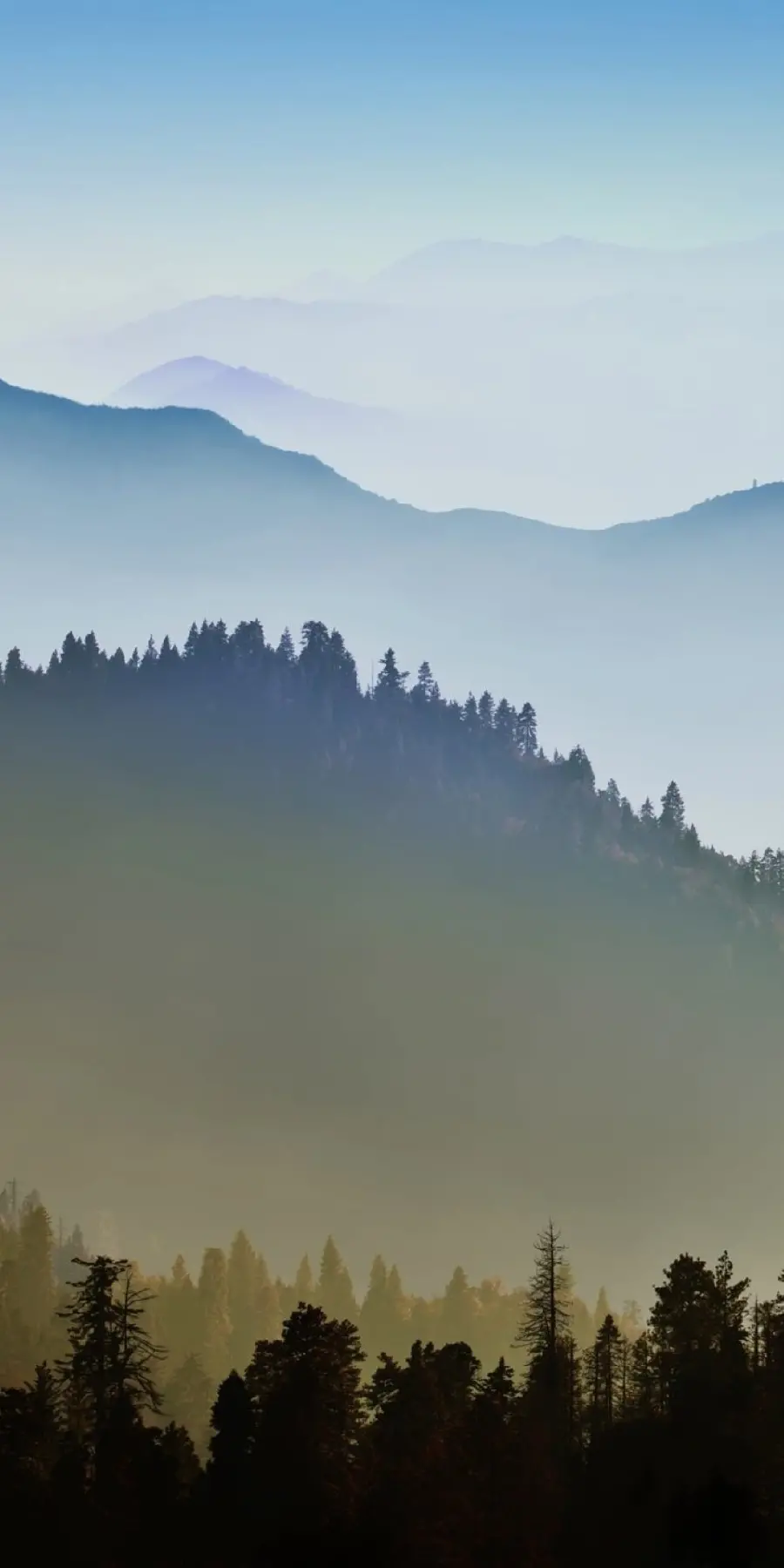 Nature Wallpaper and Nature Background for Mobile Phone