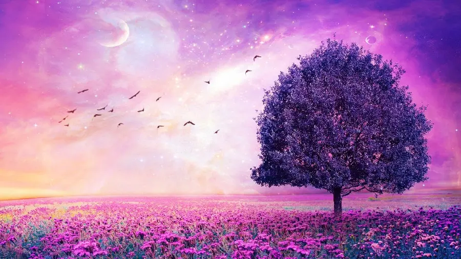 Purple flower fantasy wallpaper