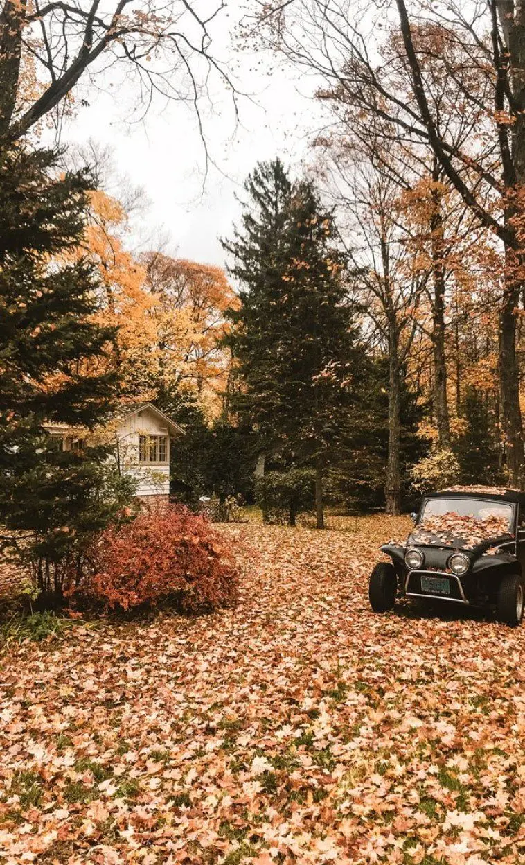 Autumn Wallpaper for phone