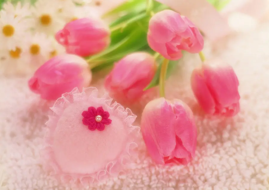 Download profile photo of tulip, symbol of love for Instagram and Telegram