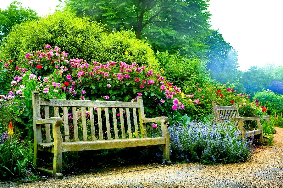 Free download of phone background of an empty bench in a spring park