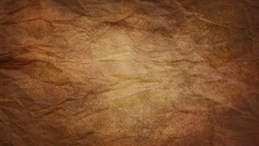 Old brown wrinkled stone texture and material for 3D Max