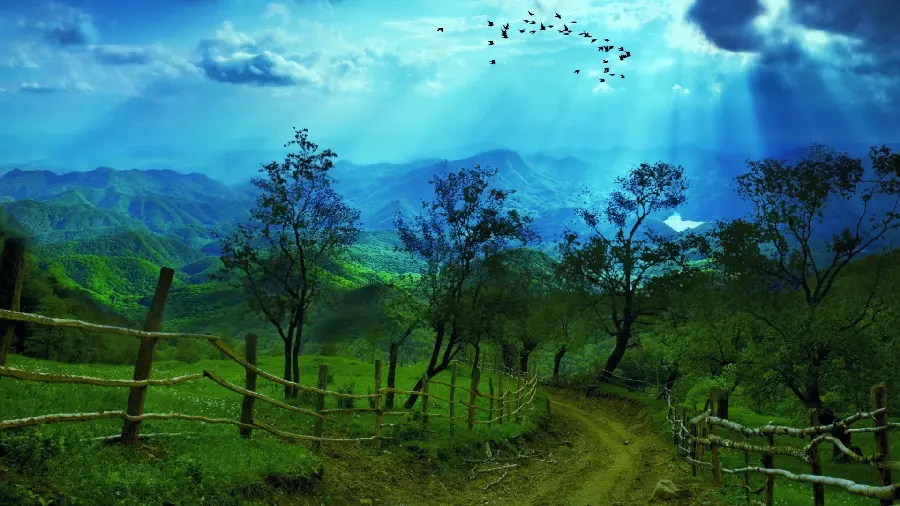 High quality nature photo and special and spectacular images