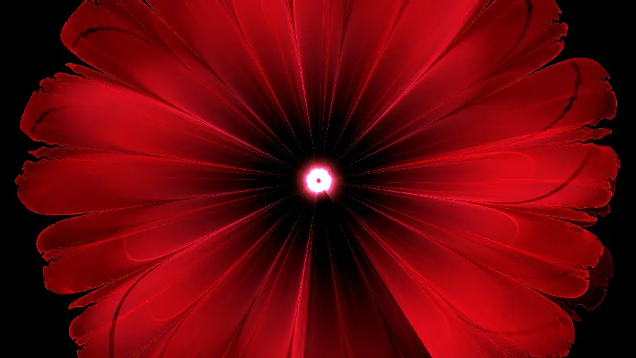 Red and Black Flower Wallpaper 3840 x 2160