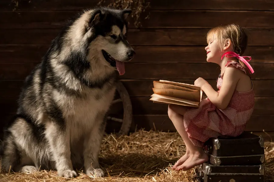 A spectacular photo of the friendship of a little girl and a big beautiful dog