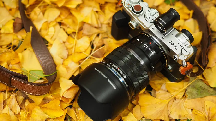 The latest autumn leaf camera wallpaper for computer desktop