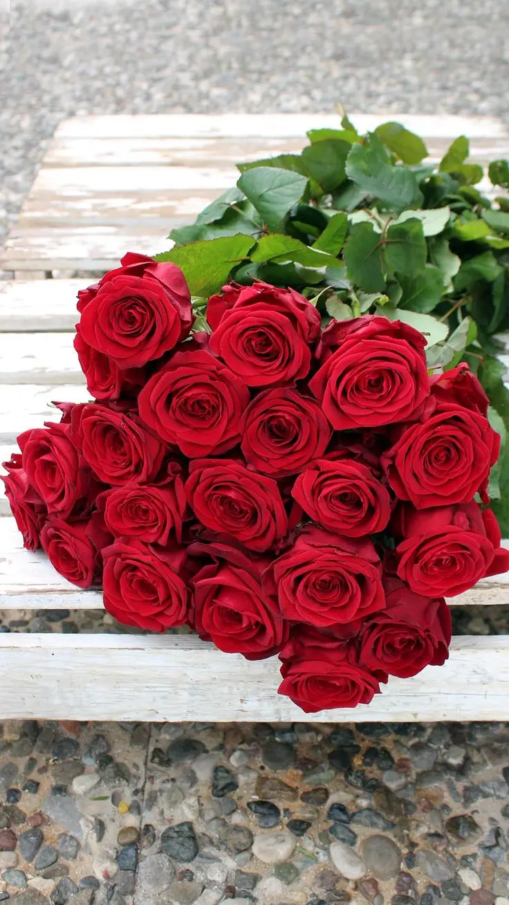 Romantic red rose bouquet for a gift in a stylish large size