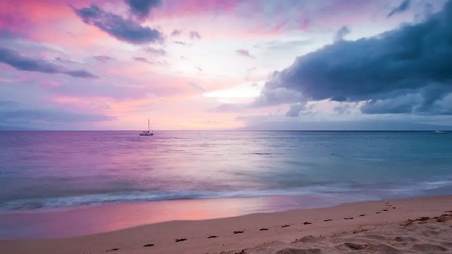 Most downloaded profile picture of the sea under a lovely pink sky