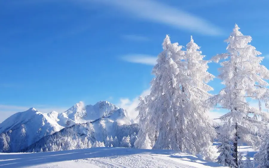 2023 snowy winter photo in HD quality