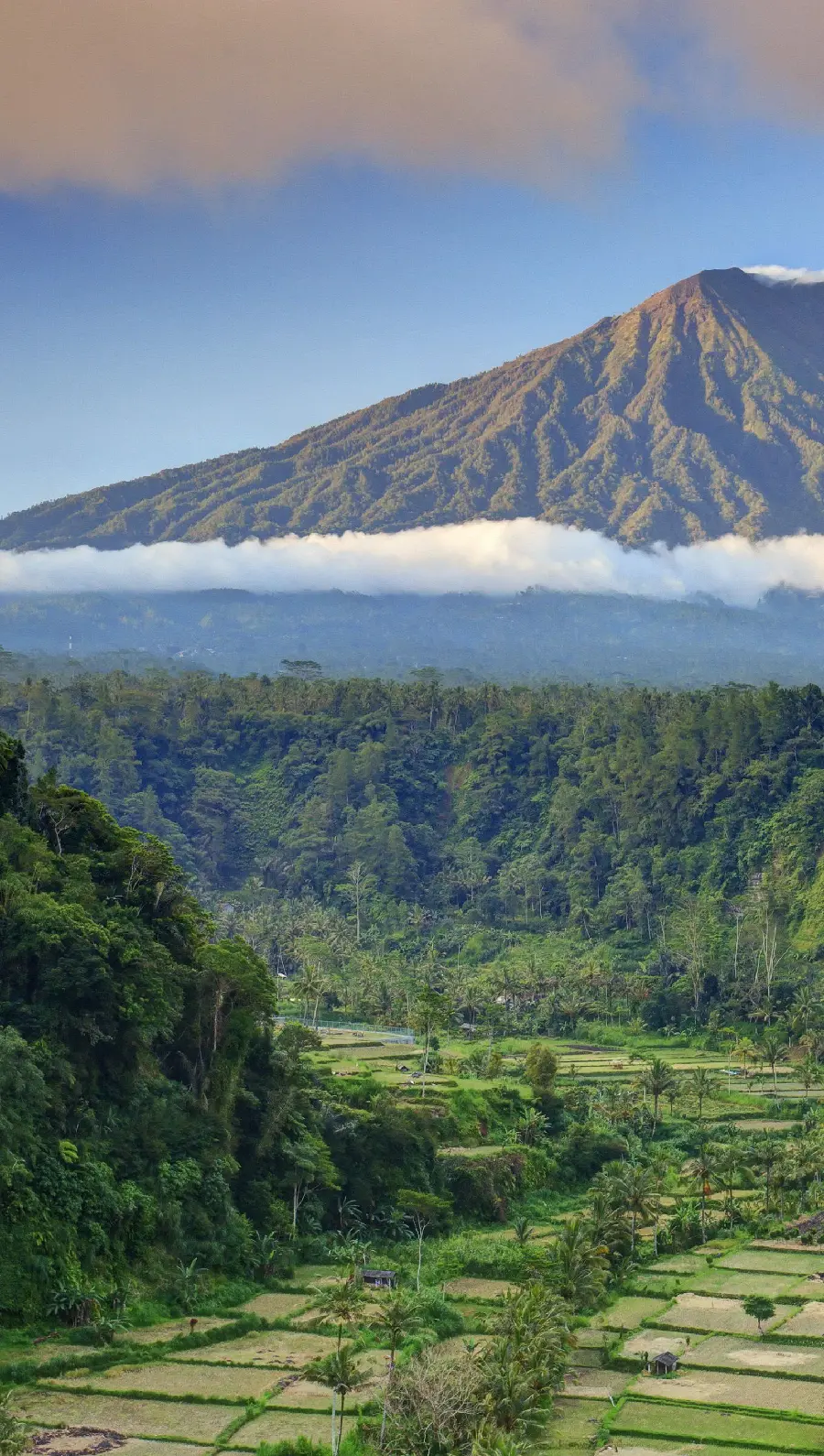 The most beautiful wallpaper of Bali's pristine and green nature for mobile
